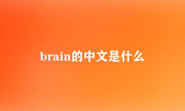 brain的中文是什么