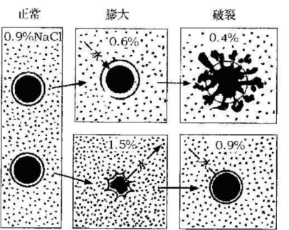 渗透压的单位mOsm/kg如何念出来