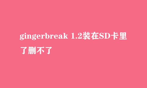 gingerbreak 1.2装在SD卡里了删不了