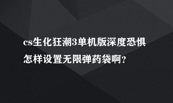 cs生化狂潮3单机版深度恐惧怎样设置无限弹药袋啊？