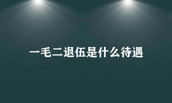 一毛二退伍是什么待遇