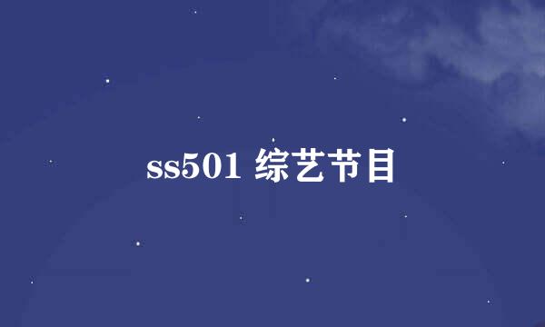 ss501 综艺节目
