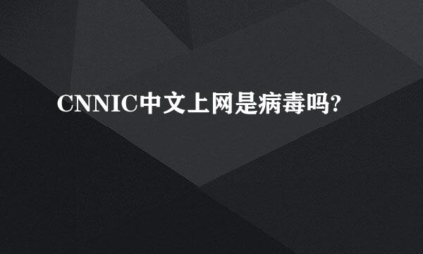 CNNIC中文上网是病毒吗?