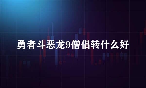 勇者斗恶龙9僧侣转什么好