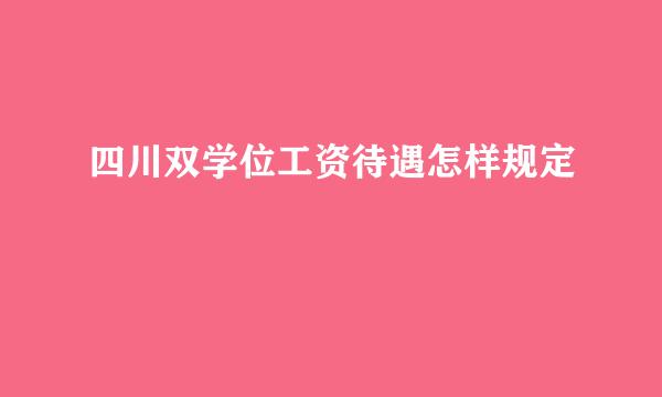 四川双学位工资待遇怎样规定