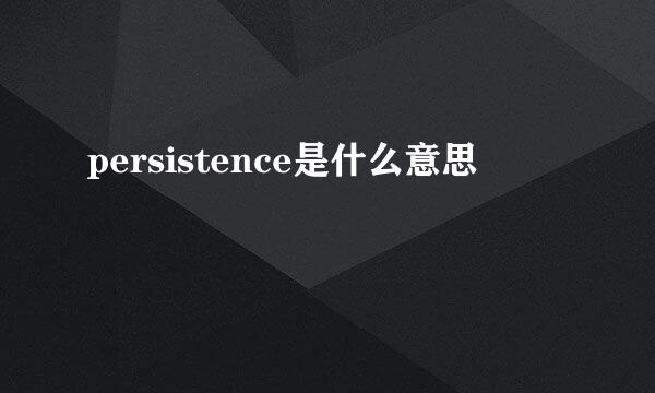 persistence是什么意思