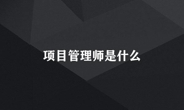 项目管理师是什么