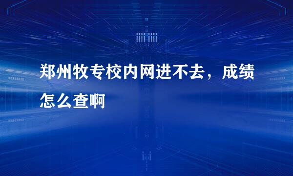 郑州牧专校内网进不去，成绩怎么查啊