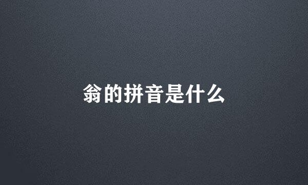 翁的拼音是什么