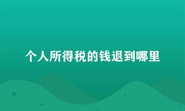 个人所得税的钱退到哪里