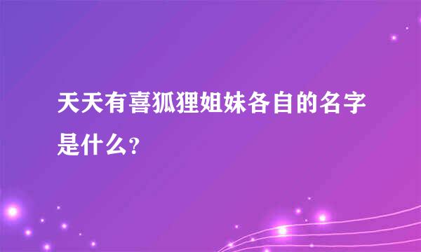 天天有喜狐狸姐妹各自的名字是什么？