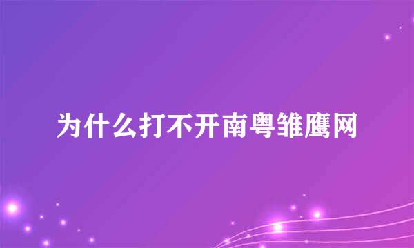 为什么打不开南粤雏鹰网