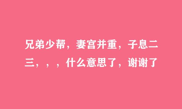 兄弟少帮，妻宫并重，子息二三，，，什么意思了，谢谢了