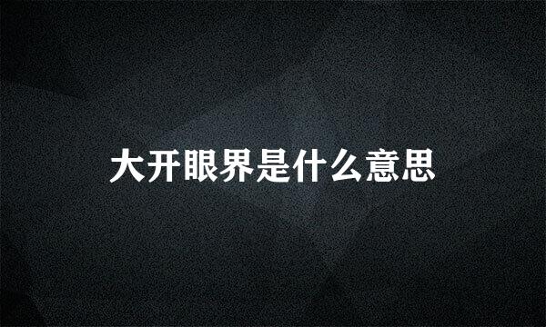 大开眼界是什么意思