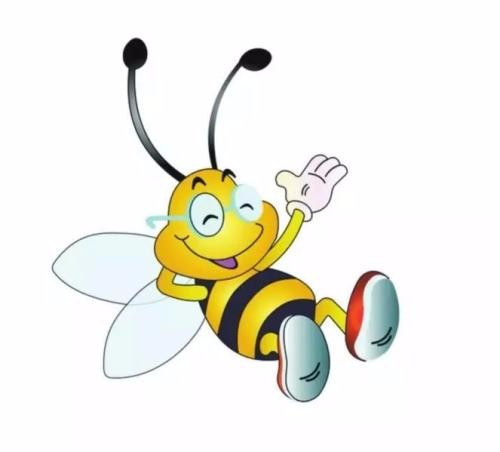 小蜜蜂是什么意思？