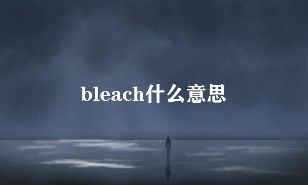 bleach什么意思