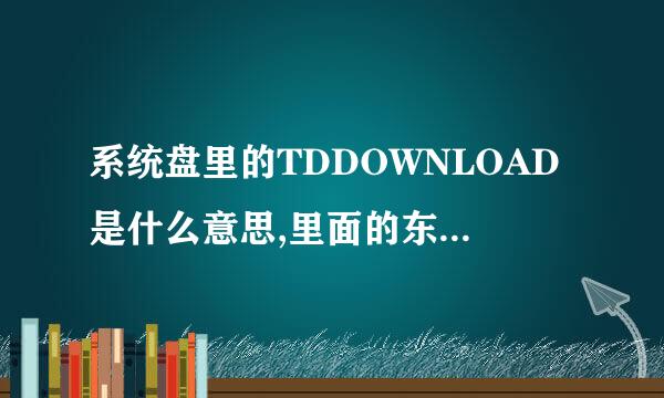 系统盘里的TDDOWNLOAD是什么意思,里面的东西能删吗?