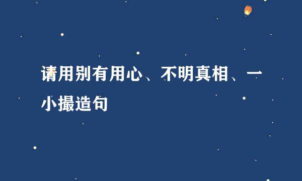 请用别有用心、不明真相、一小撮造句