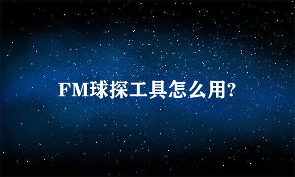 FM球探工具怎么用?