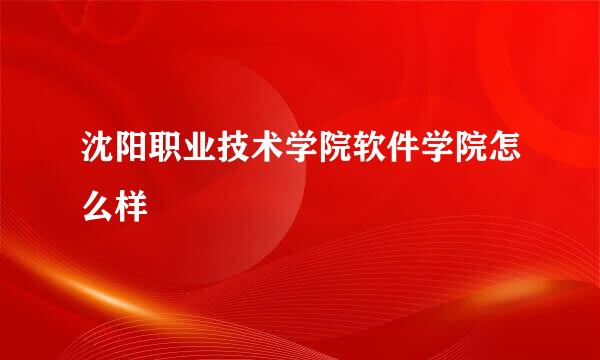 沈阳职业技术学院软件学院怎么样