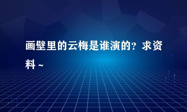 画壁里的云梅是谁演的？求资料～