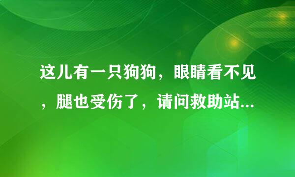 这儿有一只狗狗，眼睛看不见，腿也受伤了，请问救助站电话号码多少？