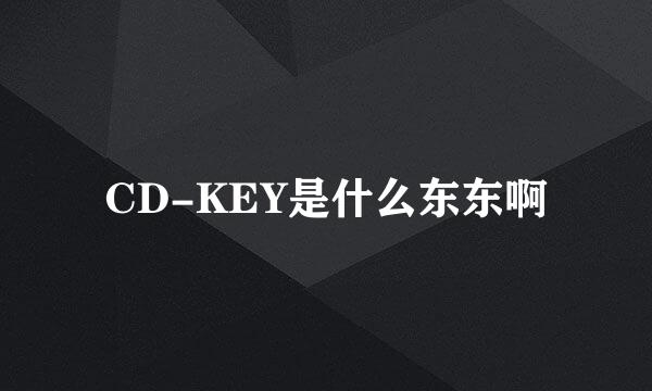 CD-KEY是什么东东啊