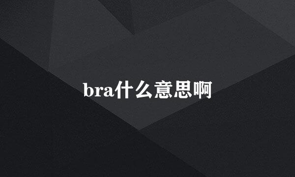 bra什么意思啊