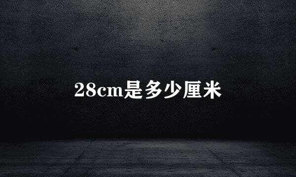 28cm是多少厘米