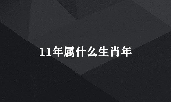 11年属什么生肖年