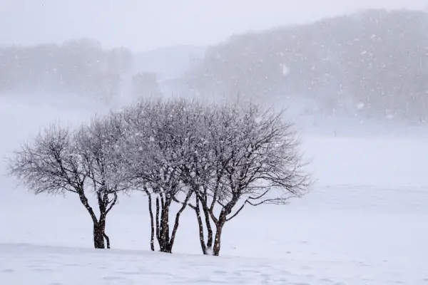 辽宁多地大雪纷飞，积雪深处没过脚踝，这里为何会一夜入冬？