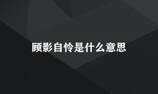 顾影自怜是什么意思