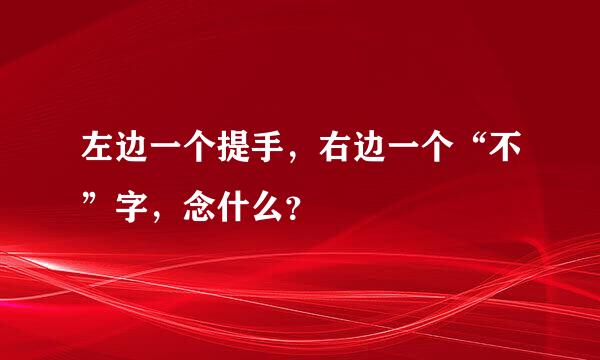 左边一个提手，右边一个“不”字，念什么？