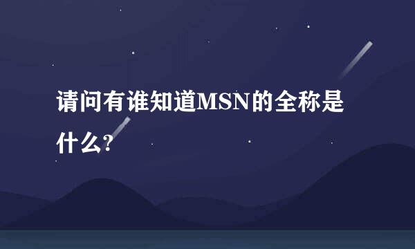 请问有谁知道MSN的全称是什么?