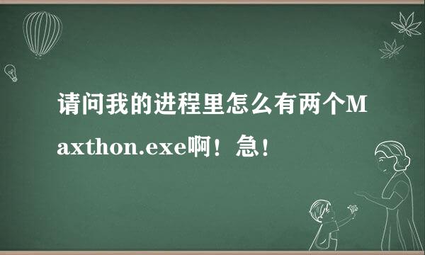 请问我的进程里怎么有两个Maxthon.exe啊！急！