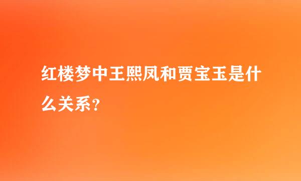 红楼梦中王熙凤和贾宝玉是什么关系？