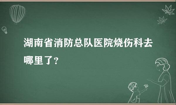 湖南省消防总队医院烧伤科去哪里了？