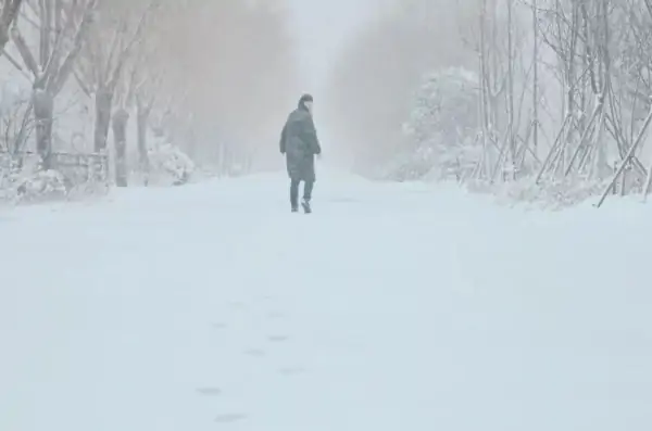 辽宁多地大雪纷飞，积雪深处没过脚踝，这里为何会一夜入冬？