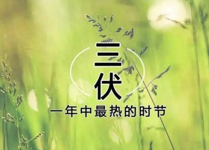 三伏是哪三伏