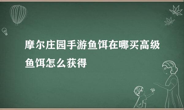 摩尔庄园手游鱼饵在哪买高级鱼饵怎么获得