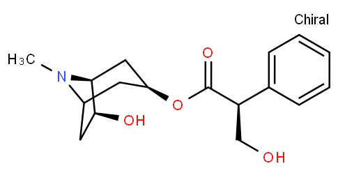 消旋山莨菪碱片怎么读