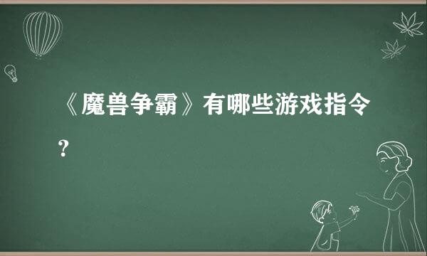 《魔兽争霸》有哪些游戏指令？