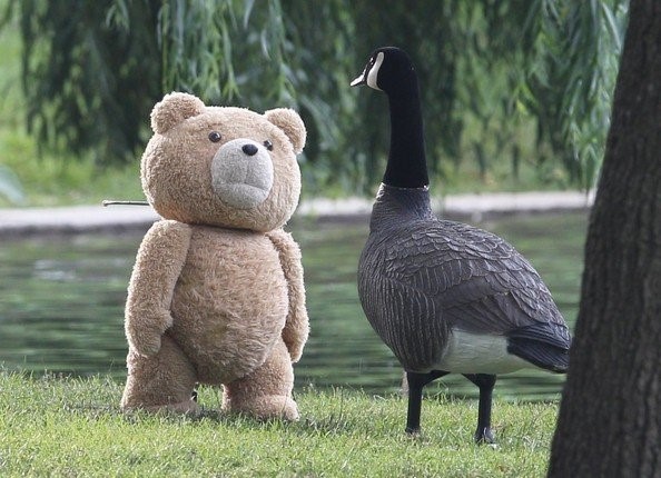 谈谈你看完电影《泰迪熊2 Ted 2》后的感受?