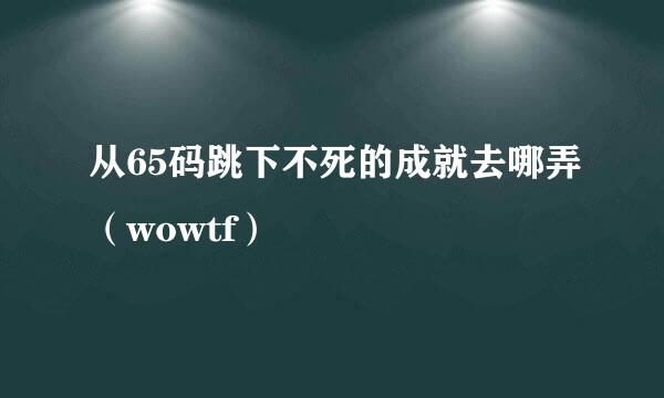 从65码跳下不死的成就去哪弄（wowtf）