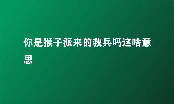 你是猴子派来的救兵吗这啥意思