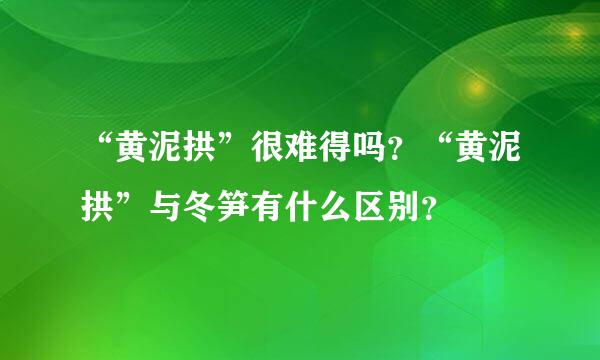 “黄泥拱”很难得吗？“黄泥拱”与冬笋有什么区别？