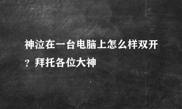 神泣在一台电脑上怎么样双开？拜托各位大神