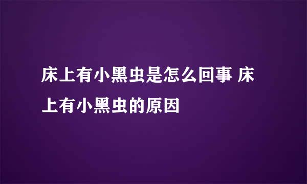 床上有小黑虫是怎么回事 床上有小黑虫的原因