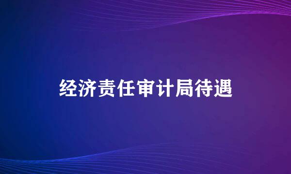 经济责任审计局待遇