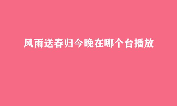 风雨送春归今晚在哪个台播放